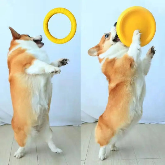 New Dog Toys Pet Flying Disk Training Ring Puller Anti-Bite Floating Interactive Toys Training Chewing Toy for Small Large Dogs