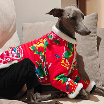Chese Style Red Thicken Cotton Floral Penadded Jacket for Italy Greyhound in Winter Bedlington Poodle Warm Coat Mid Dog Supplies