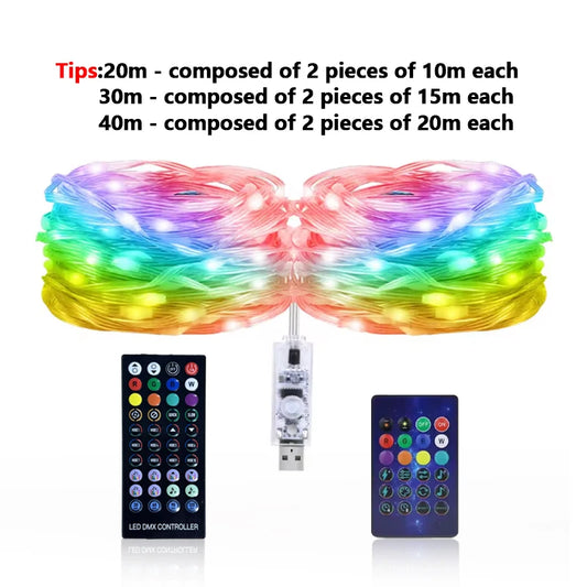 RGB IC LED Light String Bluetooth USB 5V Music Dream Color Light WS2812B Christmas Birthday Party Garland Decor Home Elf Light