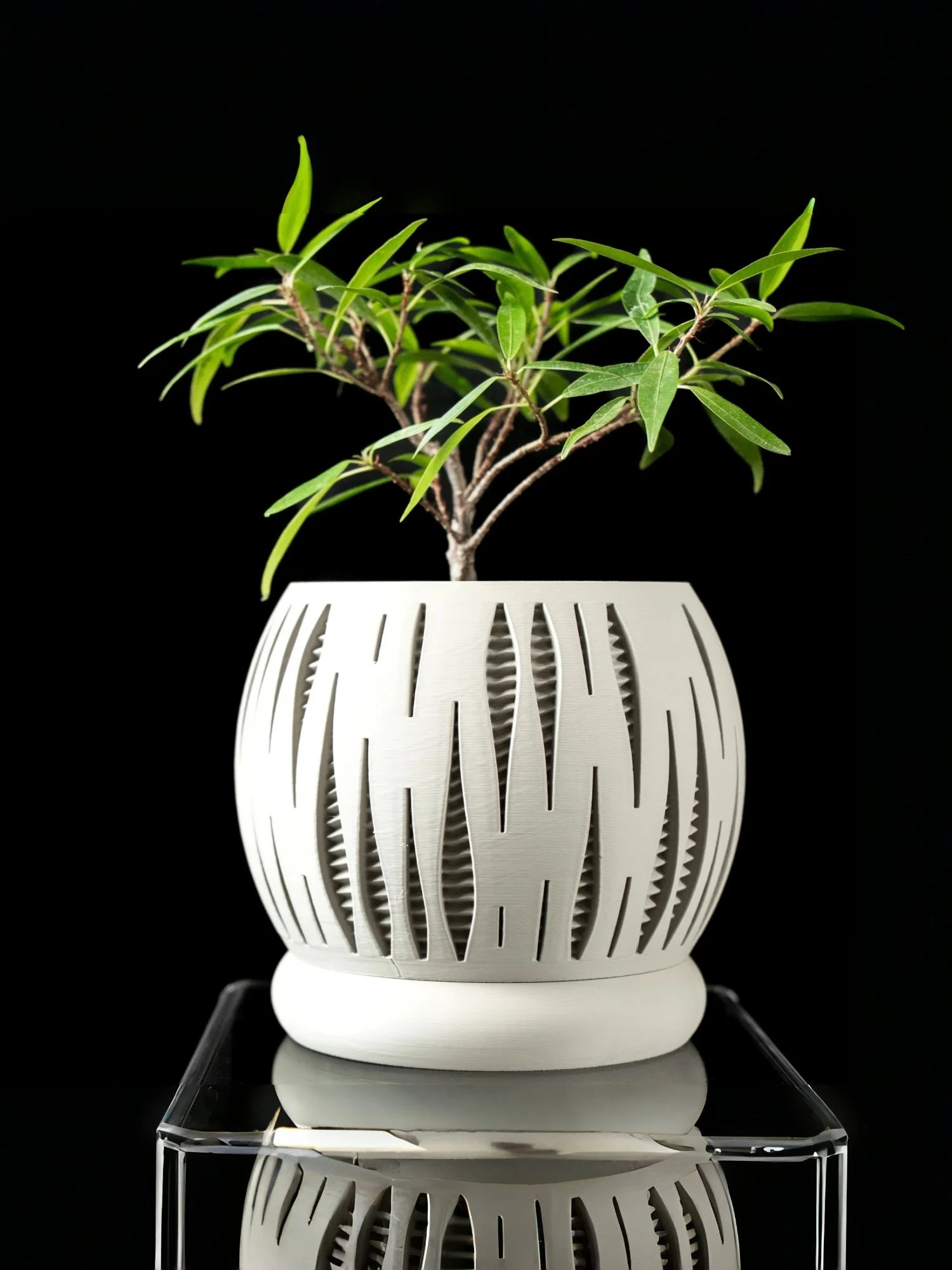 3D Printed Plant Pot Biodegradable Flower Planter for Home  Pots for Plants DecorRound flowerpot Eco-Friendly Sustainable Gift