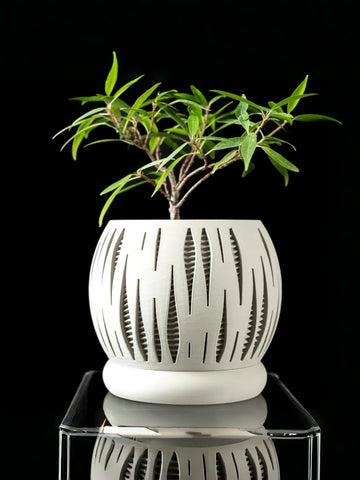 3D Printed Plant Pot Biodegradable Flower Planter for Home  Pots for Plants DecorRound flowerpot Eco-Friendly Sustainable Gift