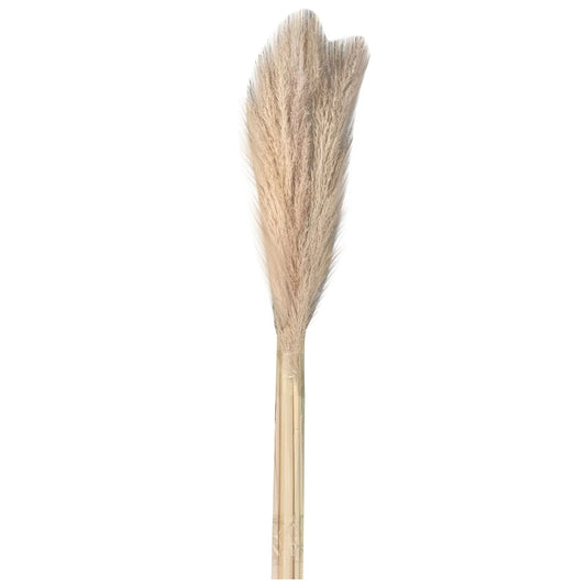 Natural Pampas Grass Bouquet Home Living Room Wedding Party Decoration Plant 40cm Dried Flower Reed DIY Vase