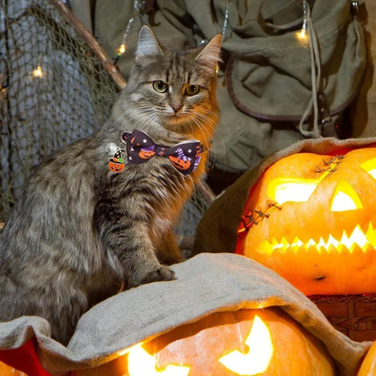 4Pcs Halloween Cats Bow Tie Collar Adjustable Breakaway Kitten Collar with Bell Halloween Party Collar Decoration for Cat Puppy