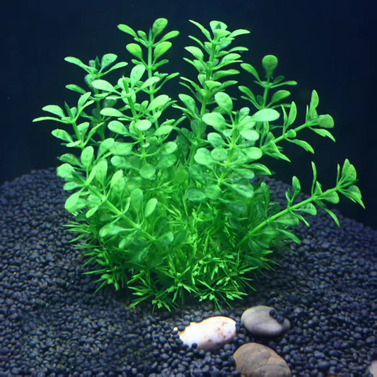 Aquarium Decorations Plants Artificial Plastic Aquatic Plants Underwater Plants Ornaments for Aquariums Fish Tank Accessories