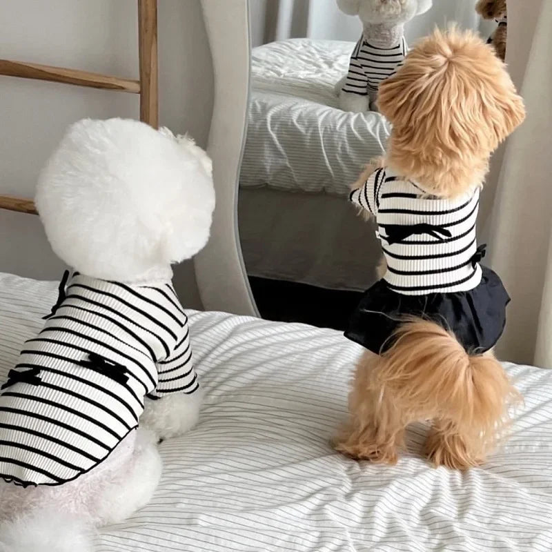 Striped Dog Vest Pet Dog Dress Summer  Clothes for Small  Chihuahua Bichon French Bulldog Bow Dog T Shirt Puppy Skirt
