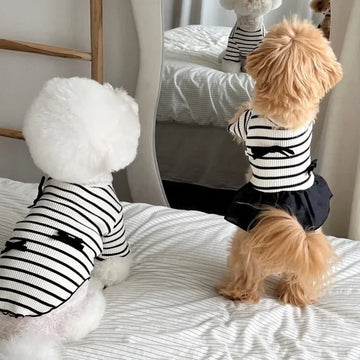 Striped Dog Vest Pet Dog Dress Summer  Clothes for Small  Chihuahua Bichon French Bulldog Bow Dog T Shirt Puppy Skirt