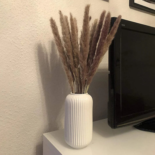 15Pcs Fast Shipping Dried Pampas Grass Decor Wedding Flower White Brown Natural Plants For Home Christmas Decorations
