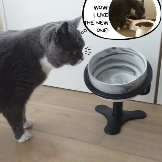 304 stainless Tilted Elevated Adjustable Raised Cat Food Bowl Stand Design Extremely High-Quality, Long-Lasting Rust Resistant