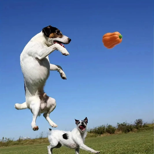 Halloween Dog Pumpkin Fetch Toy Durable Rubber Dog Chew Toy Interactive Hand Toss Dog Toy for Small To Large Pet Indoor Outdoor