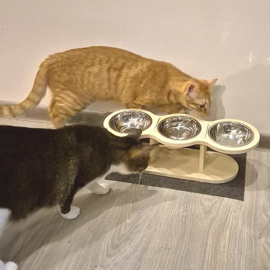 Wooden Cat Bowl Elevated Dog Bowls Pet Feeder Feeding Watering Supplies15 Degree Tilted Raised Adjustable for Kittens Puppy Cats