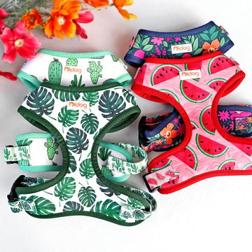 Mesh Nylon Dog Harness Vest Soft Padded Dogs Cat Vests Harnesses Cactus Print For puppy Medium Dog Cats French Bulldog Chihuahua