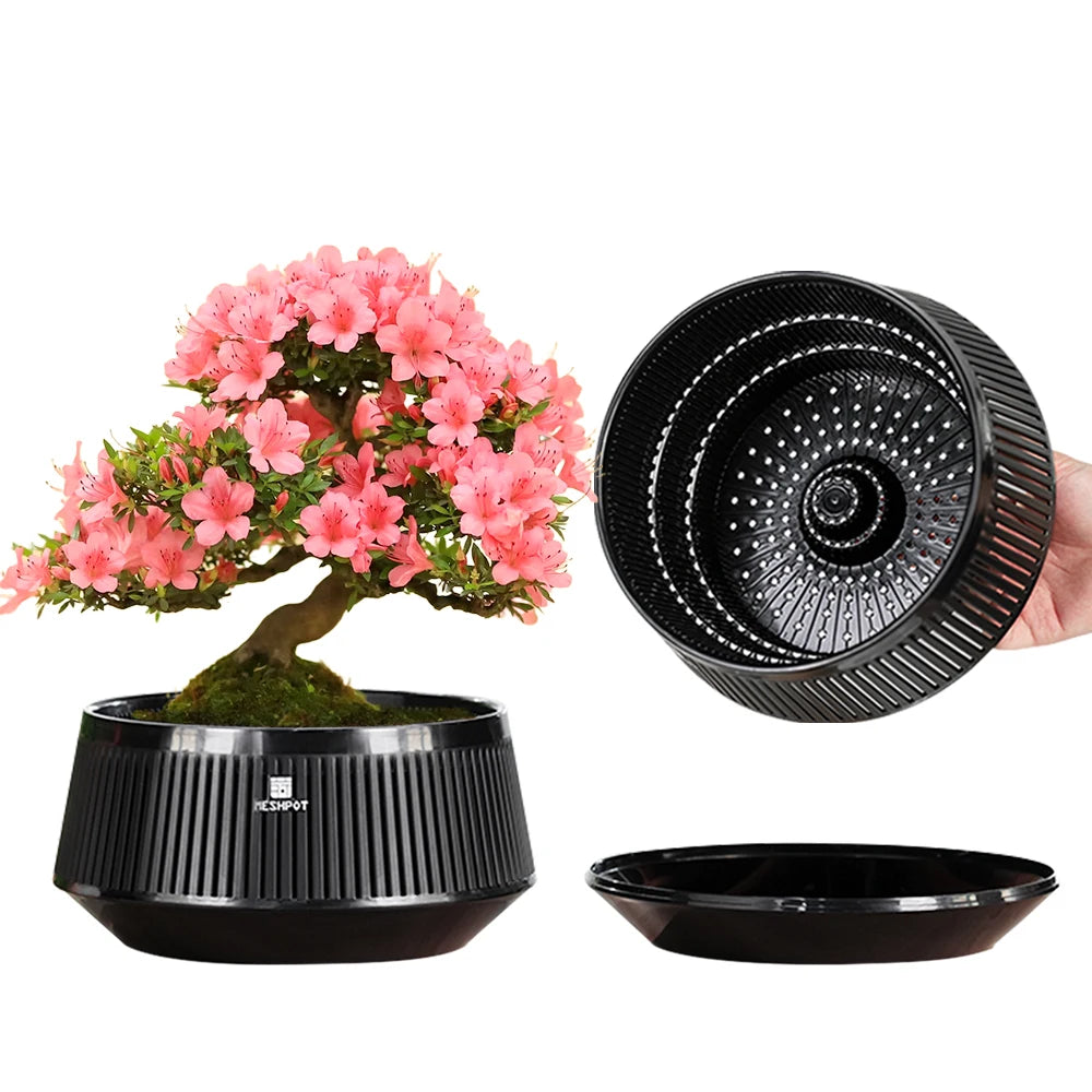 Meshpot Bonsai Pots with Drainage Tray and Excellent Airflow Plastic Bonsai Tree Pot with Air-Pruning, Large Bonsai Large Bonsai