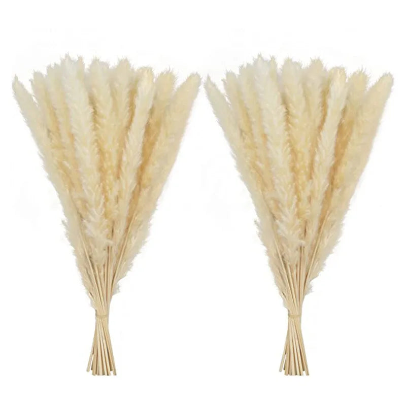 60 Pcs Pampas Grass ,Black Dried Pompous Grass White Pompass Branches for Vase Flower Arrangement Wedding Kitchen Home Decor DIY