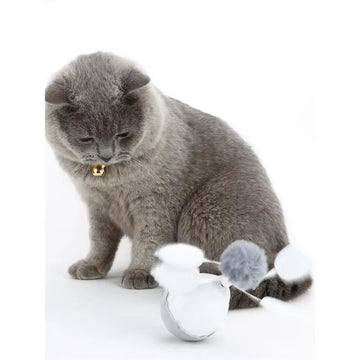 2025New Hot 360 Degree Pet Electric Tumbler Automatic Rotating Funny Cat Ball Toy With 2 Detachable Head Pet Toy