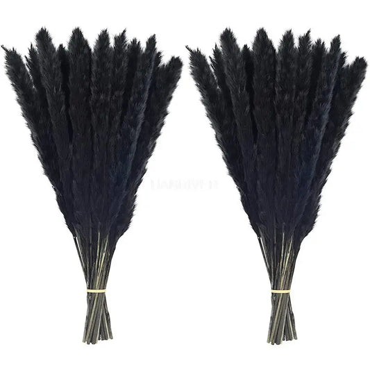 60 Pcs Pampas Grass ,Black Dried Pompous Grass White Pompass Branches for Vase Flower Arrangement Wedding Kitchen Home Decor DIY