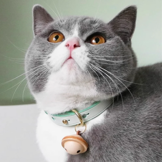 Handmade Custom Leather Pet Collars Lettering Cat Collar with Tags Schnauzer Pomeranian Puppy Collar  Dogs Accesorios