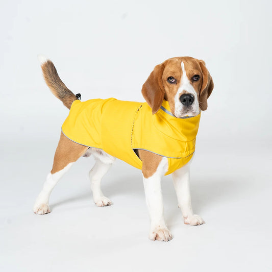Pet Rainwear Clothes Reflective Puppy Apparel Dog Clothing High Neck Medium Dog Jacket Waterproof Dog Raincoat For Labrador
