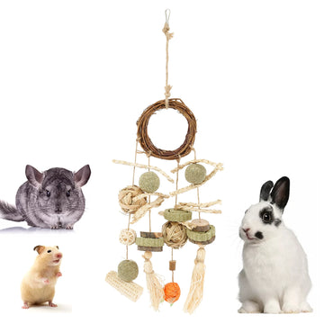 2Pcs Hamster Chew Toys Small Animal Teeth Grinding Cage Hanging Natural Wood Rabbit Chinchilla Guinea Pig Pet Toys