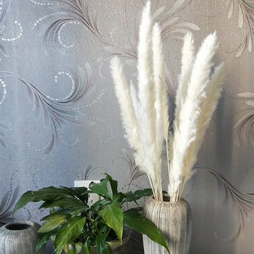 15Pcs Fast Shipping Dried Pampas Grass Decor Wedding Flower White Brown Natural Plants For Home Christmas Decorations