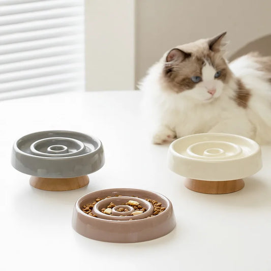 Ceramic Slow Feeder Bowl Cats Dogs Anti-Choke Non Slip Pet Food Dish Raised Design Prevents Overeating Supports Healthy Feeding