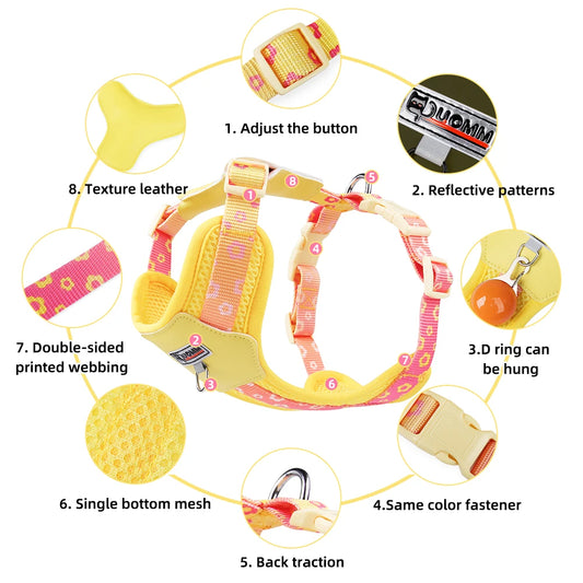 Colorful Gradient Dog Harness Breathable Adjustable for Small Dogs Summer Outdoor Walking No Pull Pet Vest with Leash
