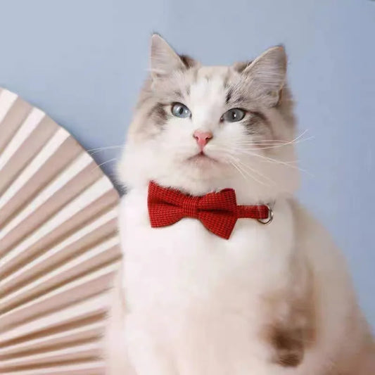 Cat Collar with Bow Soft Pet Dogs Cats Puppy Necklace Optional Daisy Bell Collar for Cat,Cat Accessories Pet Supplies